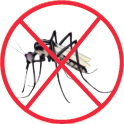 Les  moustiques